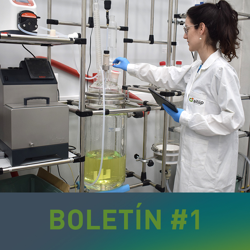 BOLETIN #1: Red de Excelencia Cervera RECIPOL
